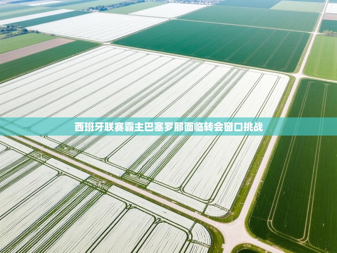 西班牙联赛霸主巴塞罗那面临转会窗口挑战  第2张