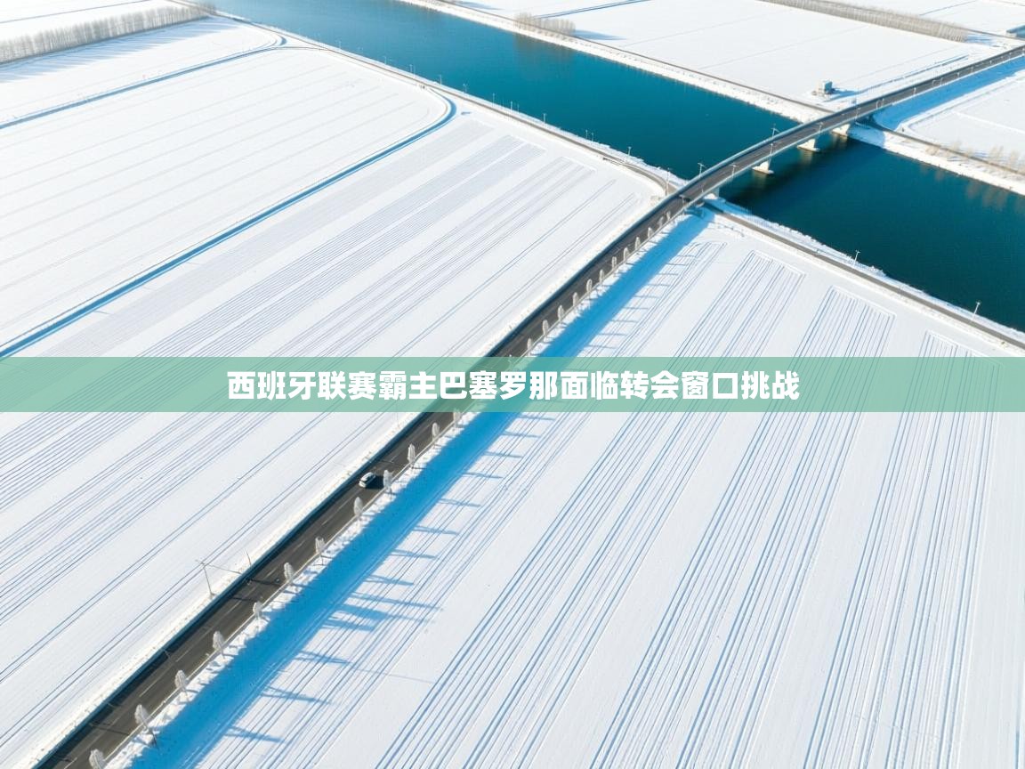 西班牙联赛霸主巴塞罗那面临转会窗口挑战  第1张