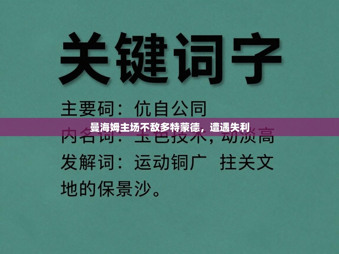 曼海姆主场不敌多特蒙德,遭遇失利 第1张