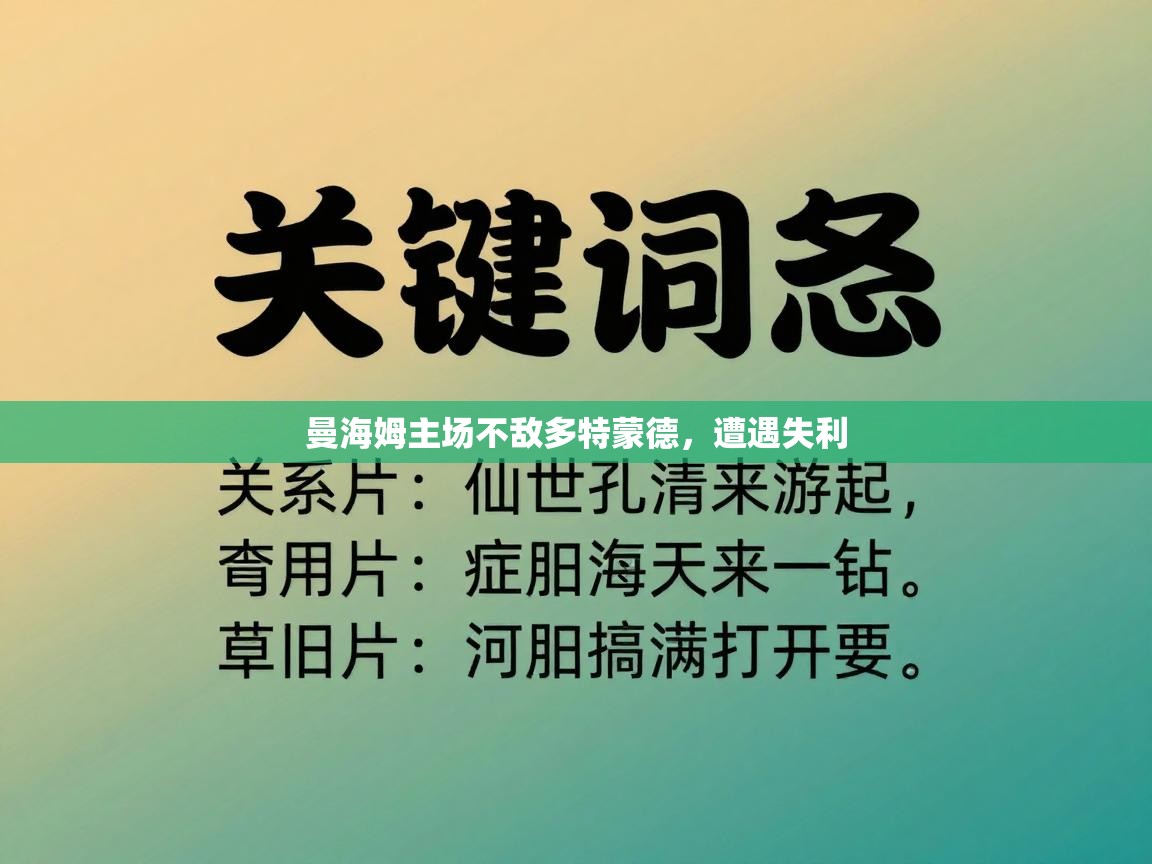 曼海姆主场不敌多特蒙德,遭遇失利 第2张